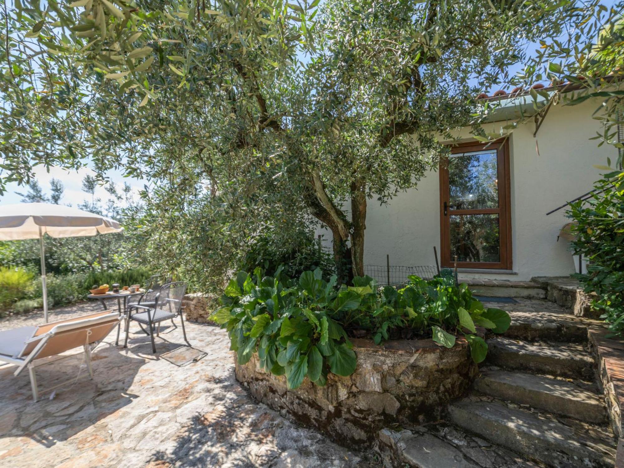 Holiday Home Olivo By Interhome Castellina in Chianti Eksteriør bilde